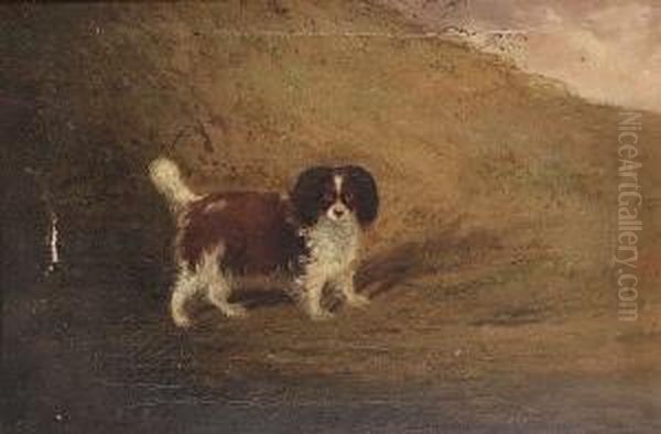 Liver And White Spaniel Oil Painting by Charles Hancock