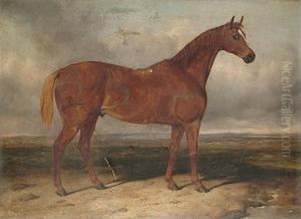 A Chesnut Hunter In A Landscape Oil Painting by Charles Hancock