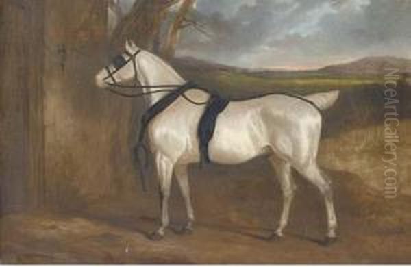 A Grey Carriage Horse Oil Painting by Charles Hancock