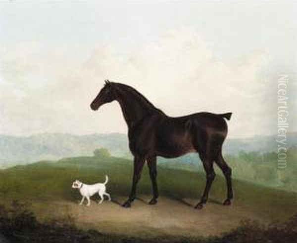 A Chestnut Hunter With A Dog In A Landscape Oil Painting by Charles Hancock