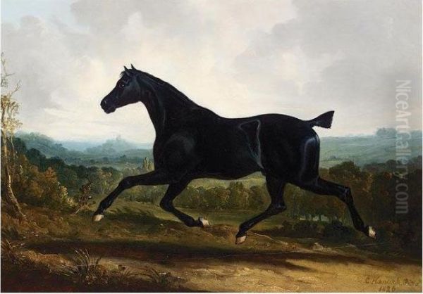 A Black Stallion In A Landscape Oil Painting by Charles Hancock