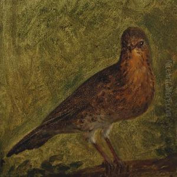 Thrush Oil Painting by Constantin Hansen