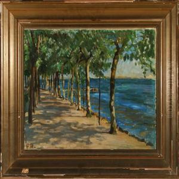 Road Allong The Coast Oil Painting by Peter Marius Hansen