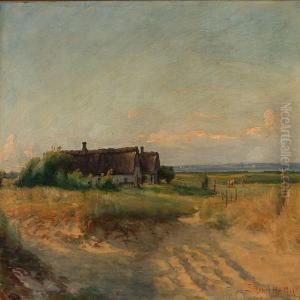 Summer Day On Fanoisland, Denmark Oil Painting by Sigvard Hansen