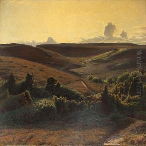 View Of A Moor Landscape In The Afternoon Oil Painting by Sigvard Hansen