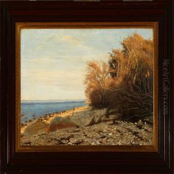 A Rocky Coast In Theevening Sun Oil Painting by Sigvard Hansen