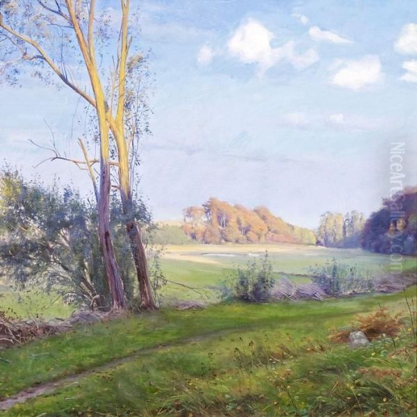 Landscape With Trees Oil Painting by Sigvard Hansen