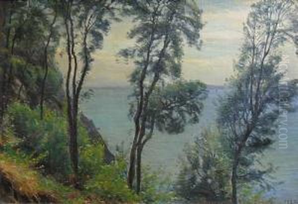 Paysage : Vue D'amalfi Oil Painting by Sigvard Hansen