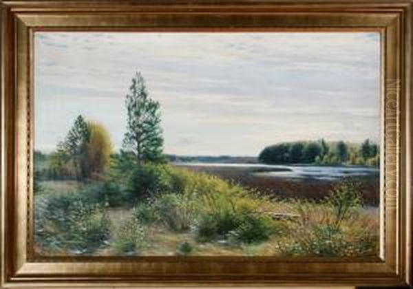 Autumn Scenery From Store 
Vildmose Bog, Denmark. Signed Sigvard Hansen. Oil On Canvas. 81 X 126 Cm Oil Painting by Sigvard Hansen