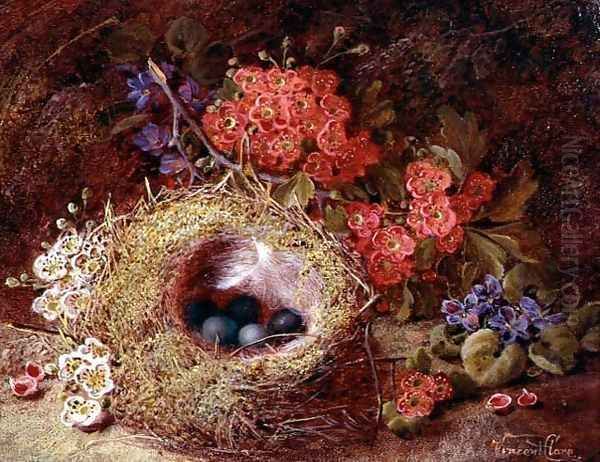 Still life of a bird's nest and blossom Oil Painting by Vincent Clare