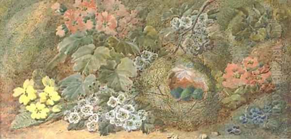 Primroses and a bird's nest on a mossy bank Oil Painting by Vincent Clare