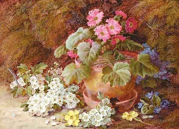 A geranium in a flower pot with primroses Oil Painting by Vincent Clare