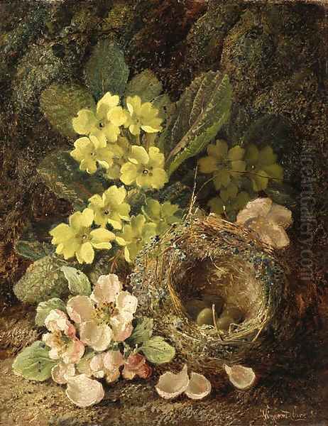 Primroses and bird's nest on a mossy bank Oil Painting by Vincent Clare