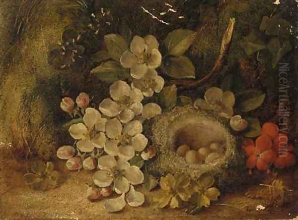 Apple blossom and a bird's nest with eggs, on a mossy bank Oil Painting by Vincent Clare