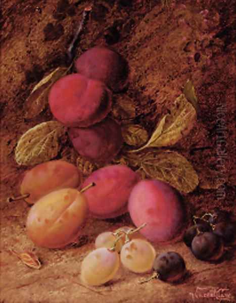 Plums and grapes on a mossy bank Oil Painting by Vincent Clare