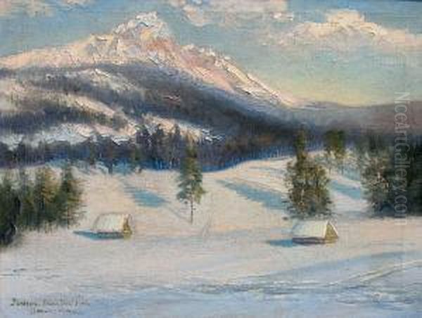 Zakopane, Dolina Strazyska Oil Painting by Marceli Harasimowicz