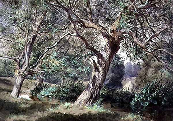 Study of Willow Trees by a Stream Oil Painting by Thomas Collier