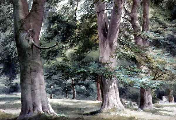 Study of Beech Trees Oil Painting by Thomas Collier