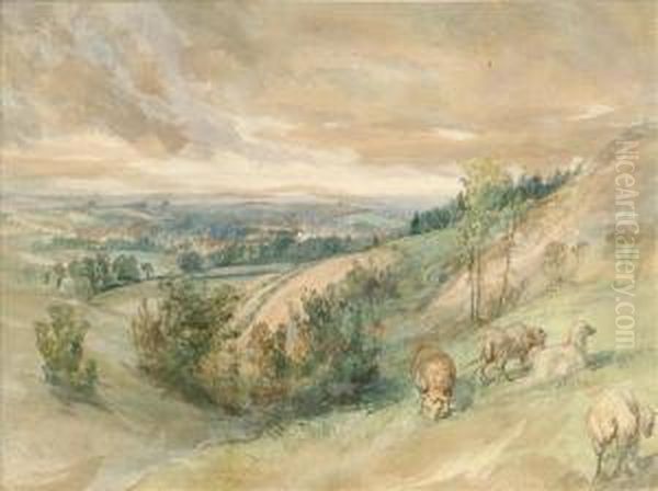 Landscape With Foreground Sheep Oil Painting by Edward Hargitt