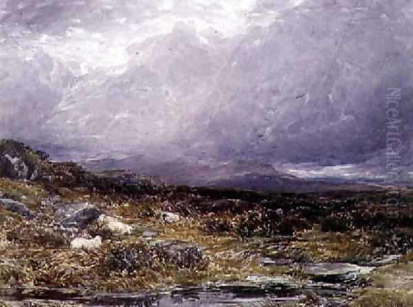 On the Siabod Flats, North Wales Oil Painting by Thomas Collier