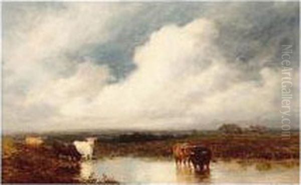 Cattle Watering Oil Painting by Edward Hargitt