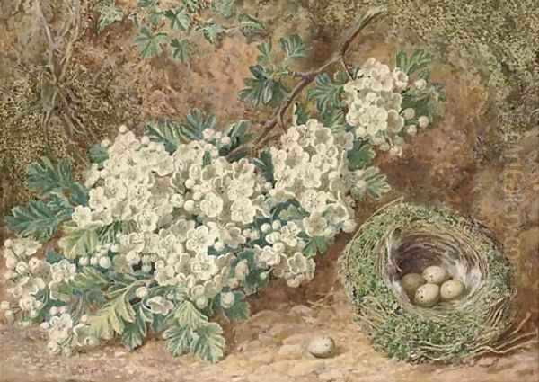 Still life of apple blossom and a bird's nest on a mossy bank Oil Painting by Thomas Collier