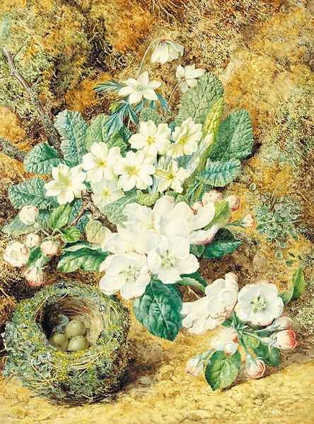 Still-life of a bird's nest with apple blossom, primulas and anemonies Oil Painting by Thomas Collier