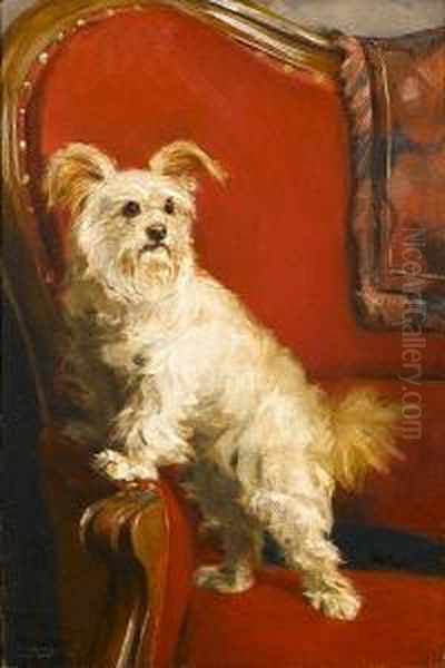 Toy Terrier On A Red Chair Oil Painting by Charles Henry Harmon