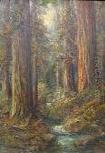 A Creek In The Redwoods Oil Painting by Charles Henry Harmon