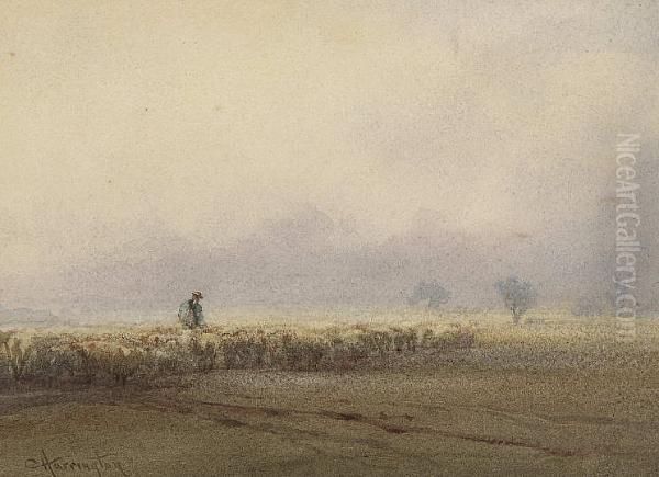 Evening Mist On Sussex Downs Oil Painting by Charles Harrington