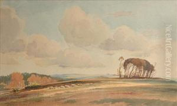 Sheep On The Downs Oil Painting by Edwin Harris