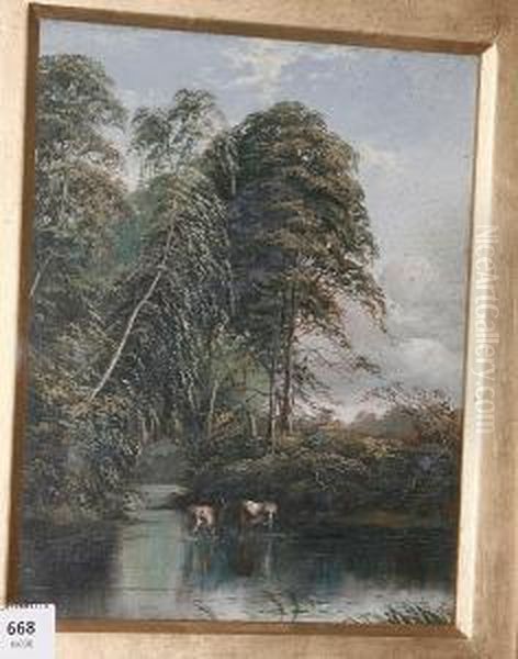 Cattle Watering In A Woodland Stream Oil Painting by J. Harris