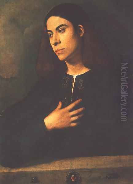 Portrait of a Youth (Antonio Broccardo) 1508-10 Oil Painting by Giorgione