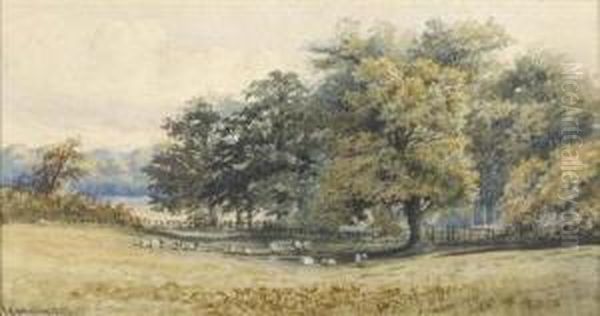 Scratchby Beech Oil Painting by Charles Harmony Harrison