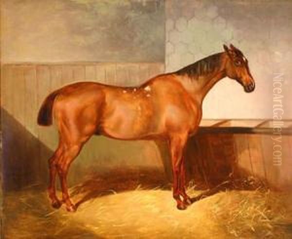 Bay Feeding In A Stall Oil Painting by Walter Harrowing