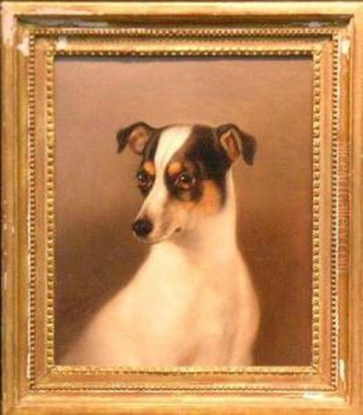 Smooth Fox Terrier Oil Painting by Walter Harrowing