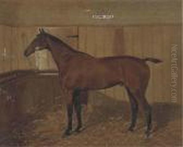 Brown Jack A Bay Hunter In A Stable Oil Painting by Walter Harrowing