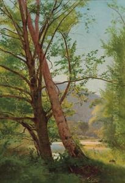 Through The Trees Oil Painting by William Howard Hart