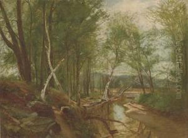 Birch Trees Along A Tributary Oil Painting by William Howard Hart