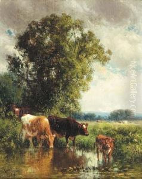 Cows Watering Oil Painting by William M. Hart