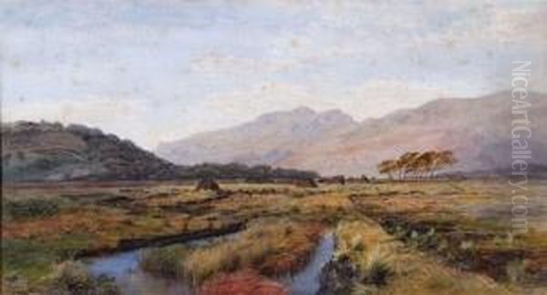 Marshes Before An Extensive Mountainous Landscape Oil Painting by Henry Albert Hartland