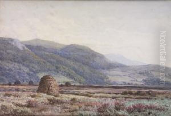 Coastal And Bogland Scenes Oil Painting by Henry Albert Hartland