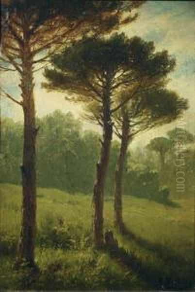 Fohrenwiese. Oil Painting by Heinrich Sen Hartung