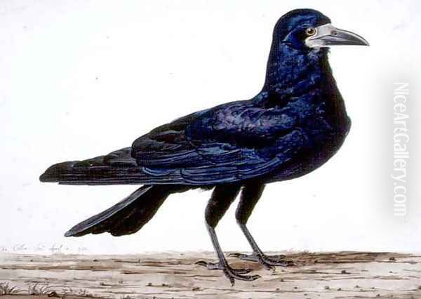 A Rook Oil Painting by Charles Collins