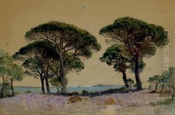 Study After The Landscape Of Cannes Oil Painting by William Stanley Haseltine