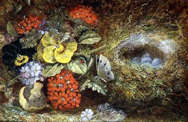 Flowers and Bird's Nest with Butterfly and Mushroom Oil Painting by Oliver Clare