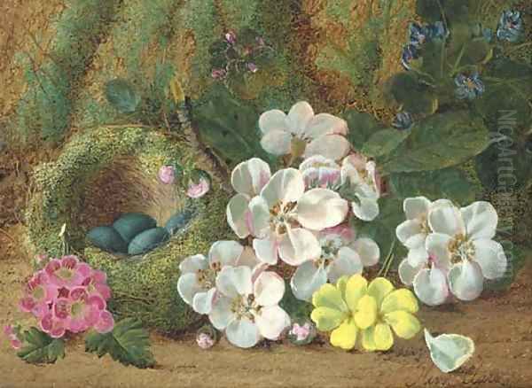 Apple blossom, primroses and a bird's nest with eggs, on a mossy bank Oil Painting by Oliver Clare