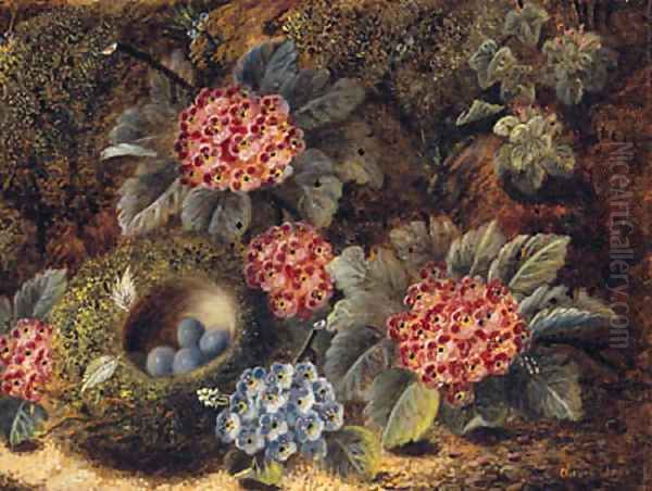 Primulas And A Bird'S Nest With Eggs, On A Mossy Bank Oil Painting by Oliver Clare