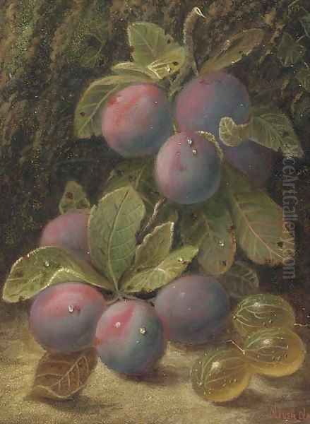 Plums and gooseberries on a mossy bank Oil Painting by Oliver Clare