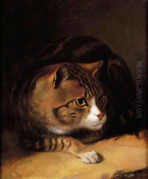 A Tabby Cat 1817 Oil Painting by Abraham Cooper